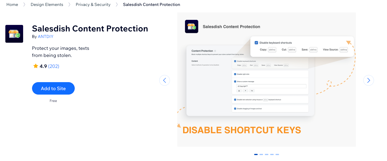 Salesdish Content Protection 2023